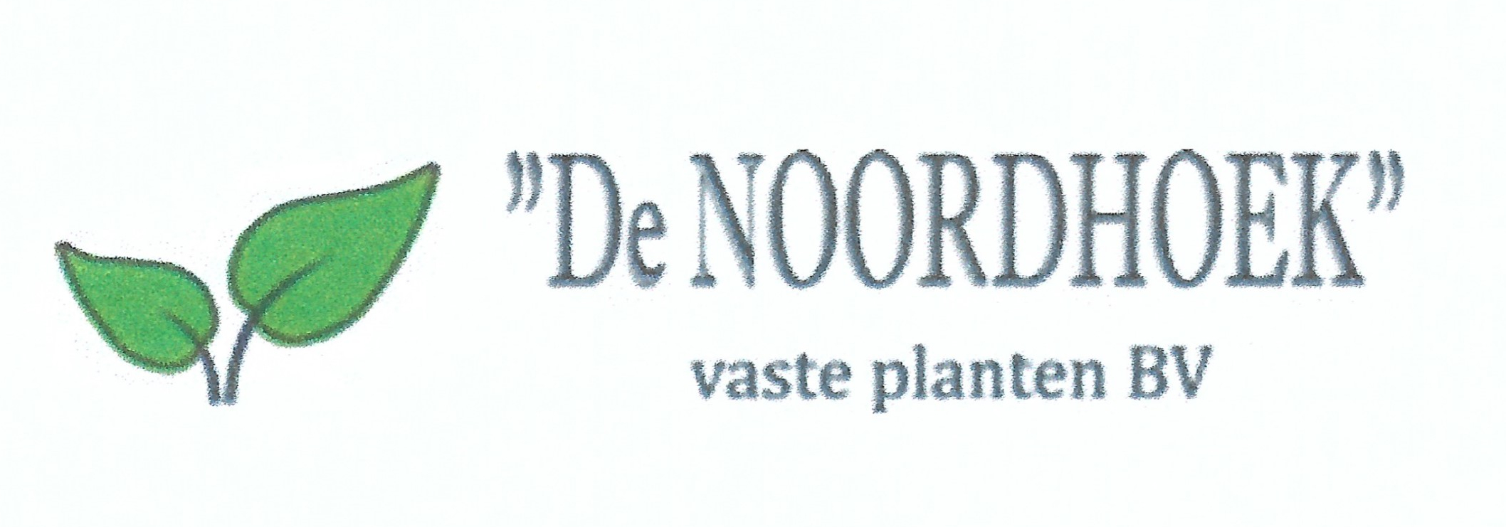 De Noordhoek vaste planten BV